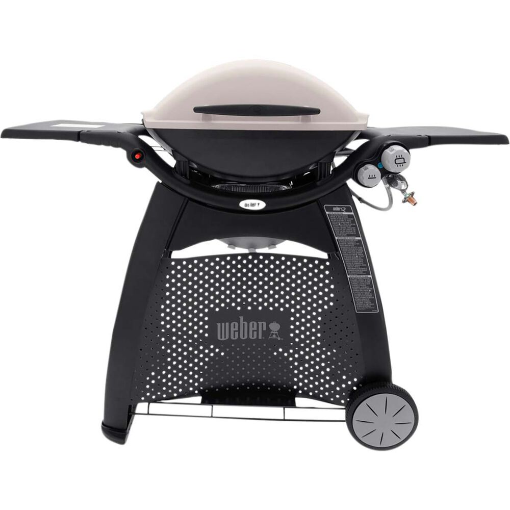 er Family Q (Q3100) LP BBQ BCF