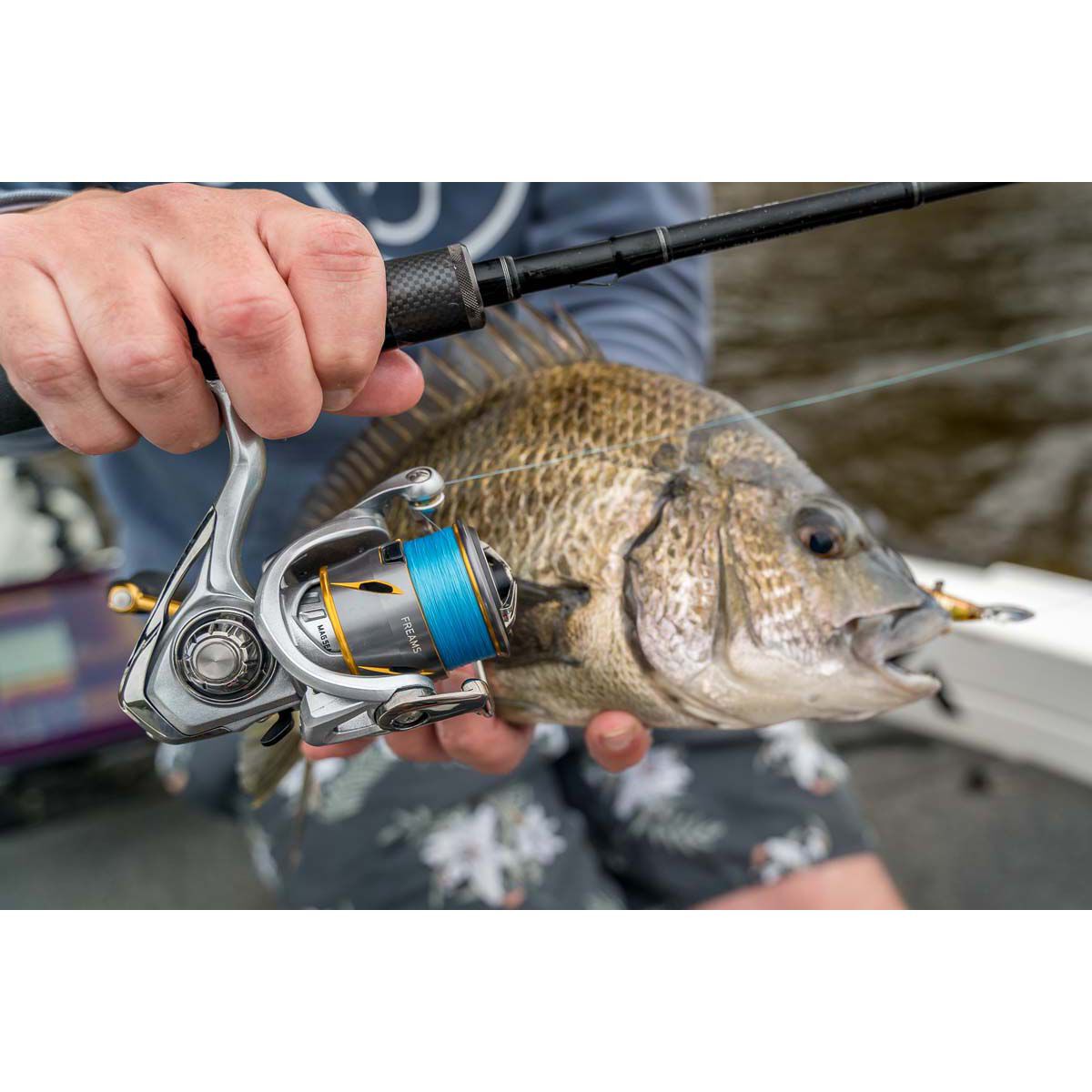 Daiwa Freams LT Spinning Reel 6000D-H | BCF