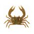 Camo Crab