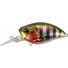 Prism Gill