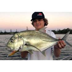 MMD Splash Prawn Surface Lure 95mm Lime Tiger, Lime Tiger, bcf_hi-res