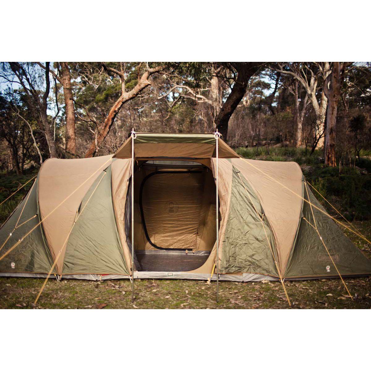 Coleman chalet 9 cv dome tent on sale