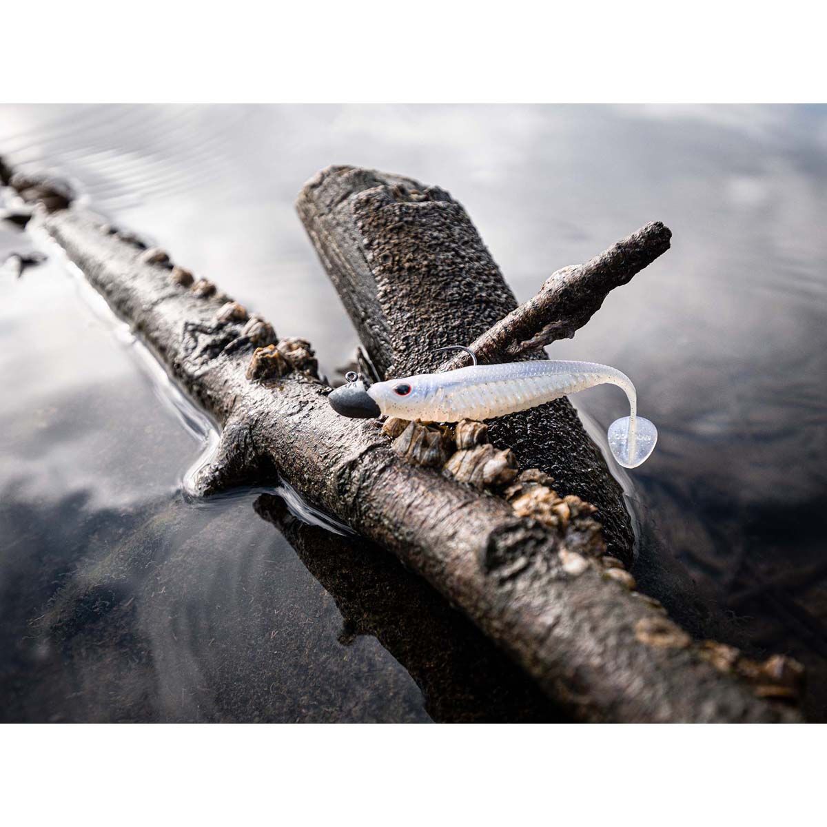 Nomad Live Ops Spectre Minnow Soft Plastic Lure 3.25in Arkansas Shiner, Arkansas Shiner, bcf_hi-res