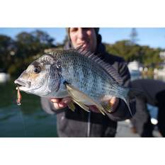 Pro Lure Blade V Vibe Lure 42mm Matt Brown, Matt Brown, bcf_hi-res