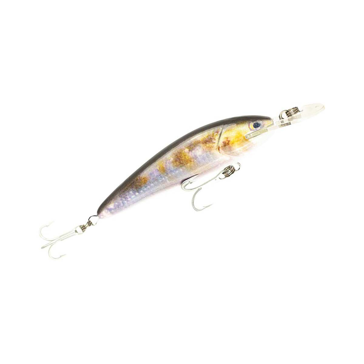 Raptor Live Jack Snax Hard Body Lure 4in Coy Carp, Coy Carp, bcf_hi-res