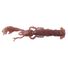 Bloodworm