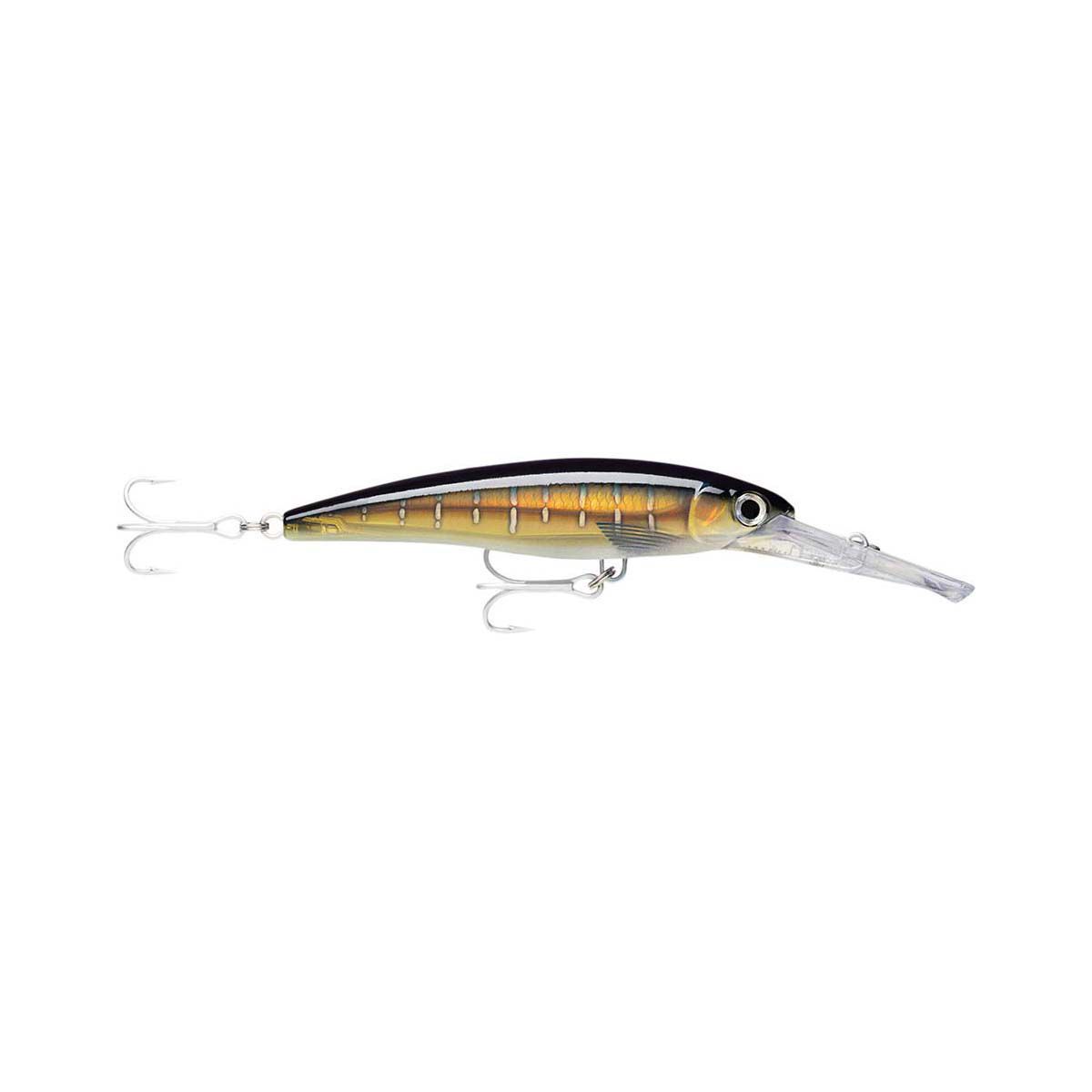 Rapala X-Rap Magnum HD 30 Hard Body Lure 16cm Sailfish, Sailfish, bcf_hi-res