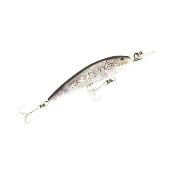 Raptor Live Jack Snax Hard Body Lure 4in Spangled Perch, Spangled Perch, bcf_hi-res