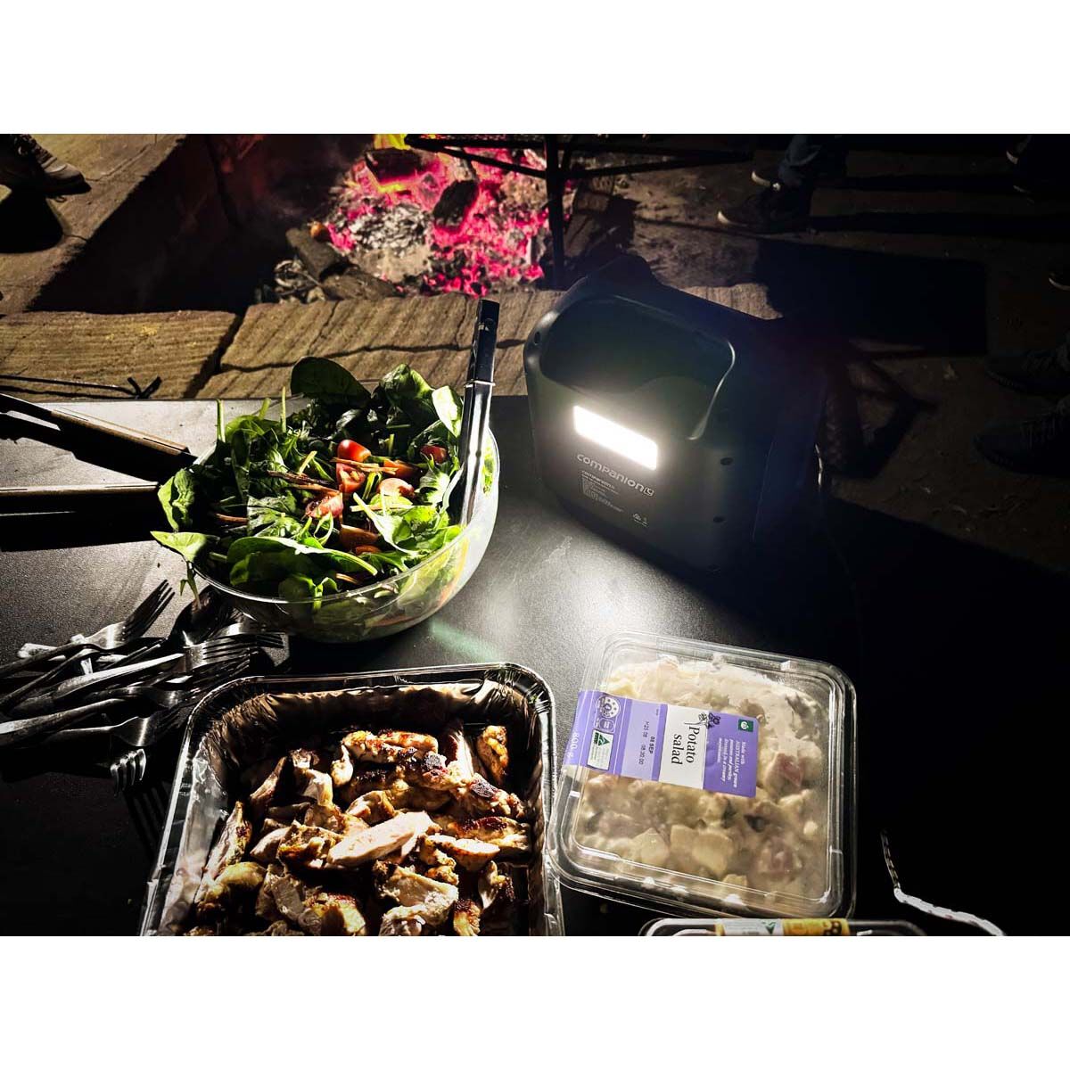 Companion Rover 300 Portable Power Station, , bcf_hi-res