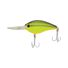 Chartreuse Shad