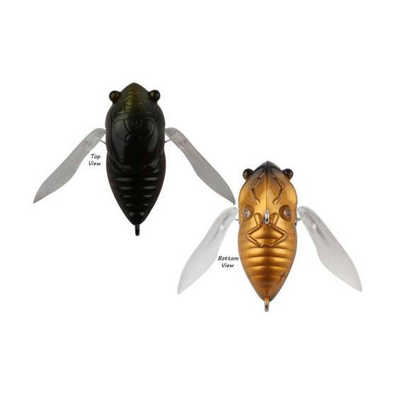 Atomic Hardz Cicada Surface Lure 35mm Black Christmas Beetle, Black Christmas Beetle, bcf_hi-res