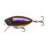 Smoked Roach