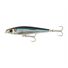 Anchovy