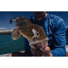 Nomad Squidtrex Vibe Lure 55mm Holo Ghost Shad, Holo Ghost Shad, bcf_hi-res