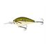 Baby Bass