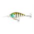 Ghost Blue Gill