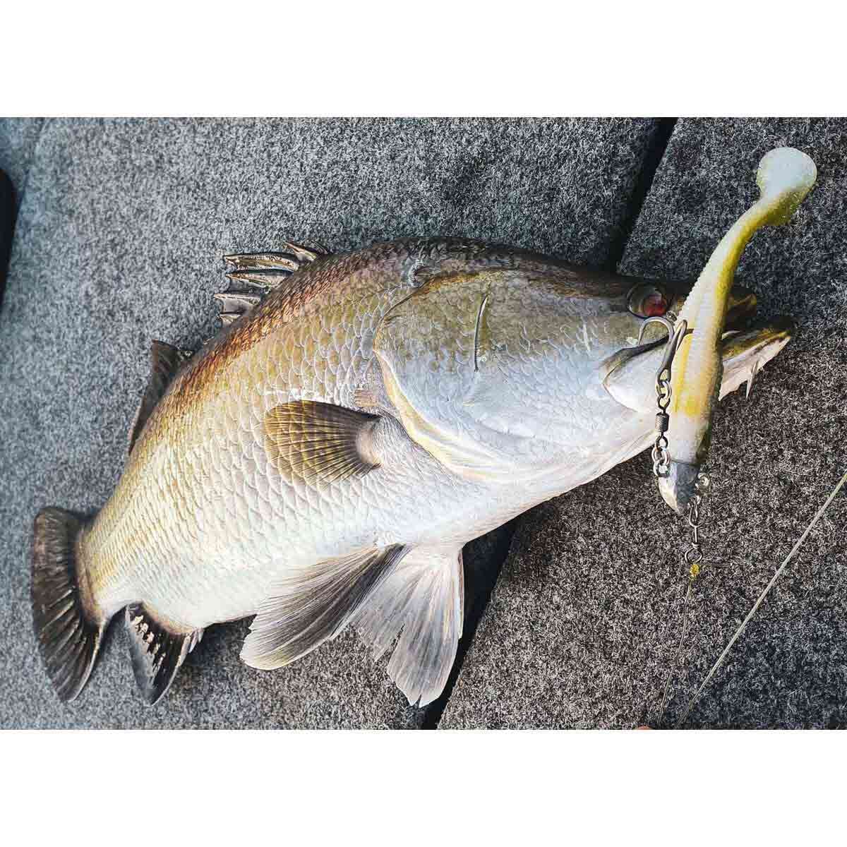 Rapala CrushCity Heavy Hitter Soft Plastic Lure 4in Baitfish, Baitfish, bcf_hi-res