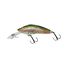 Rainbow Trout
