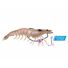 Jelly Prawn