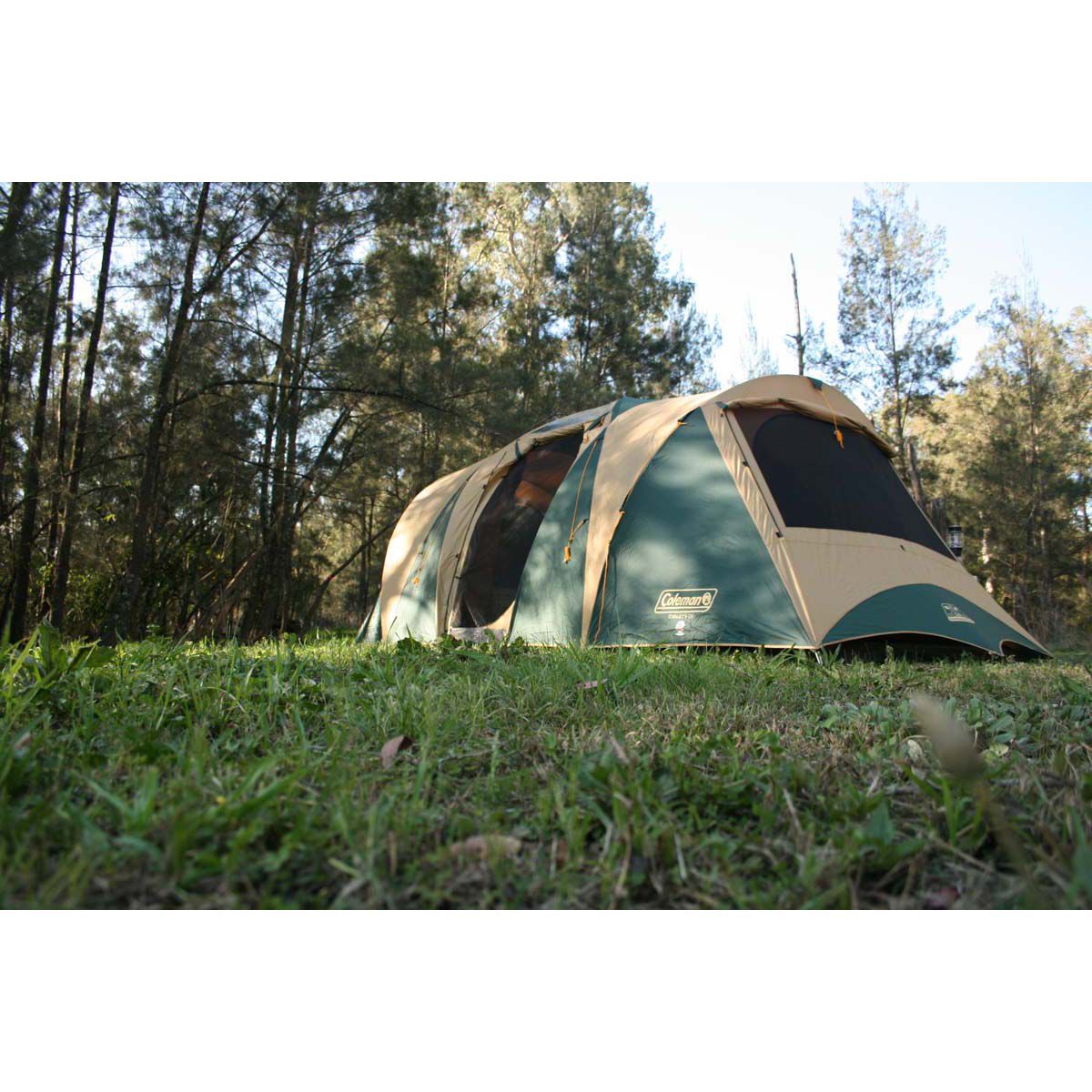 Coleman timbertop geo 6 cv top
