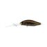 Bloodworm