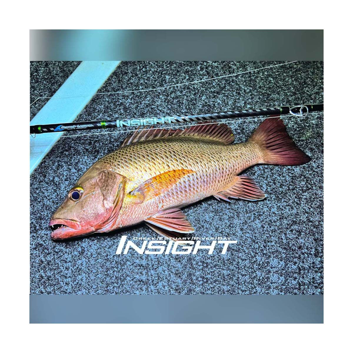 Ocean's Legacy Insight Spinning Rod, , bcf_hi-res