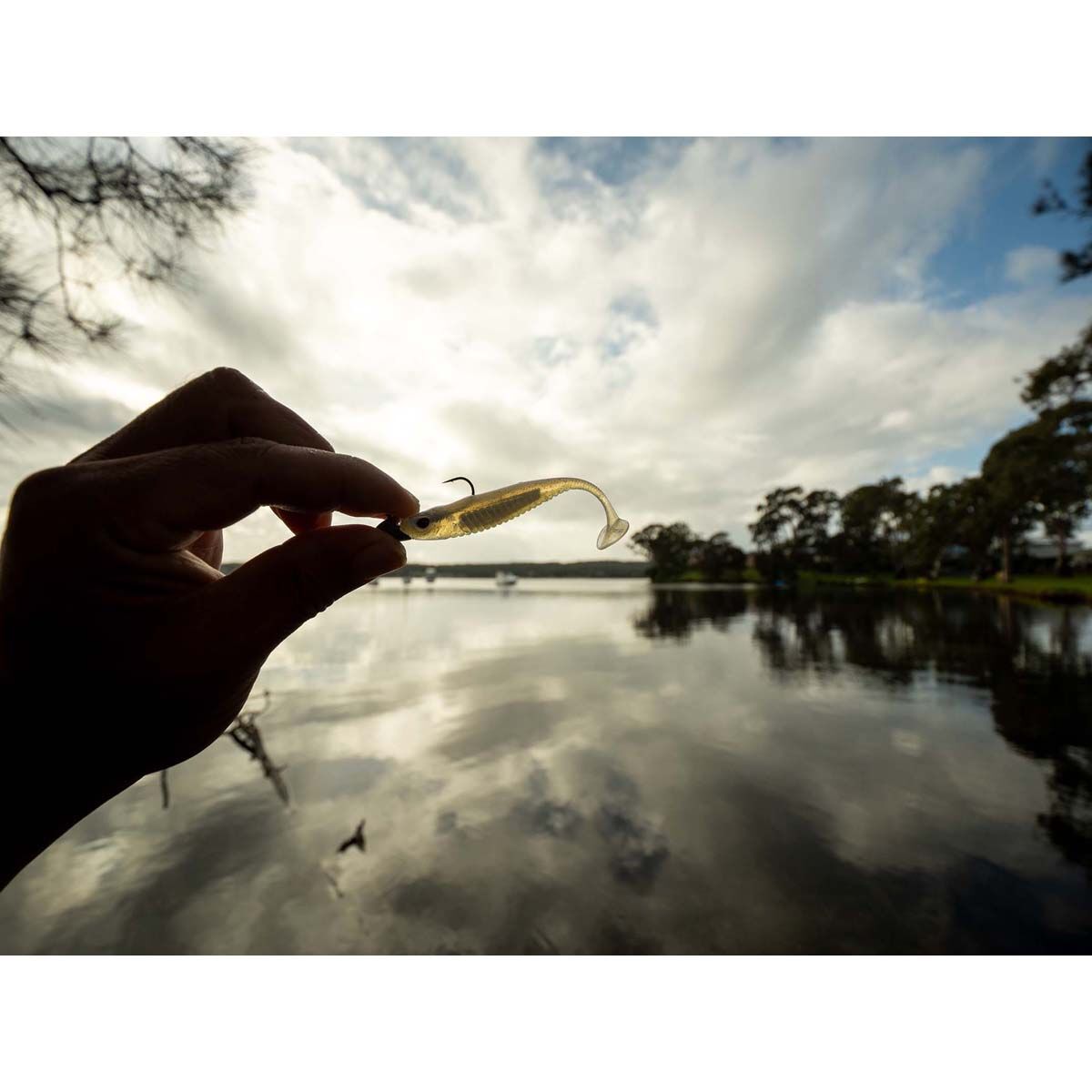 Nomad Live Ops Spectre Minnow Soft Plastic Lure 3.25in Arkansas Shiner, Arkansas Shiner, bcf_hi-res