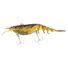 Olive Shrimp