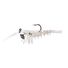 Ghost Prawn