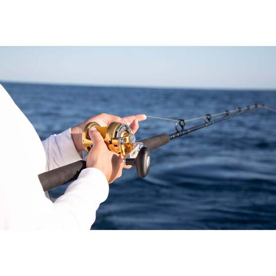 Penn International 80VISW Overhead Reel, , bcf_hi-res