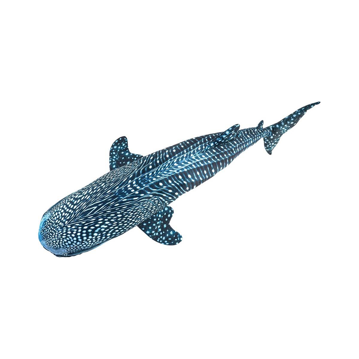 BCF Whale Shark 100cm Plush Toy, , bcf_hi-res
