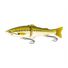 Baby Bass