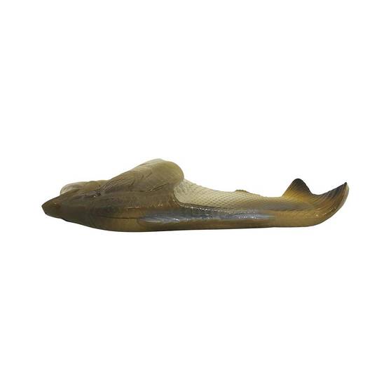 Bream Fish Feet, , bcf_hi-res