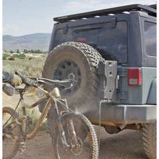 Midnight Forest Rain Flare, , bcf_hi-res