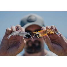 Nomad Live Ops Switcher Shrimp Soft Plastic Lure 2.3in Gold Bullet UV, Gold Bullet UV, bcf_hi-res