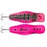Pink Perch