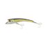 Olive Back Shad