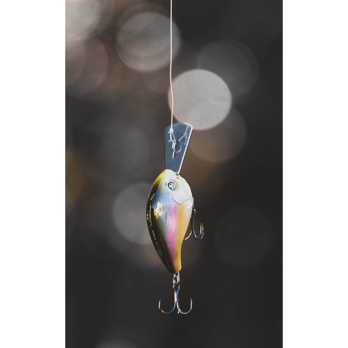 13 Fishing Jabber Jaw Deep Crankbait Lure 2.3in Citrus Shad, Citrus Shad, bcf_hi-res