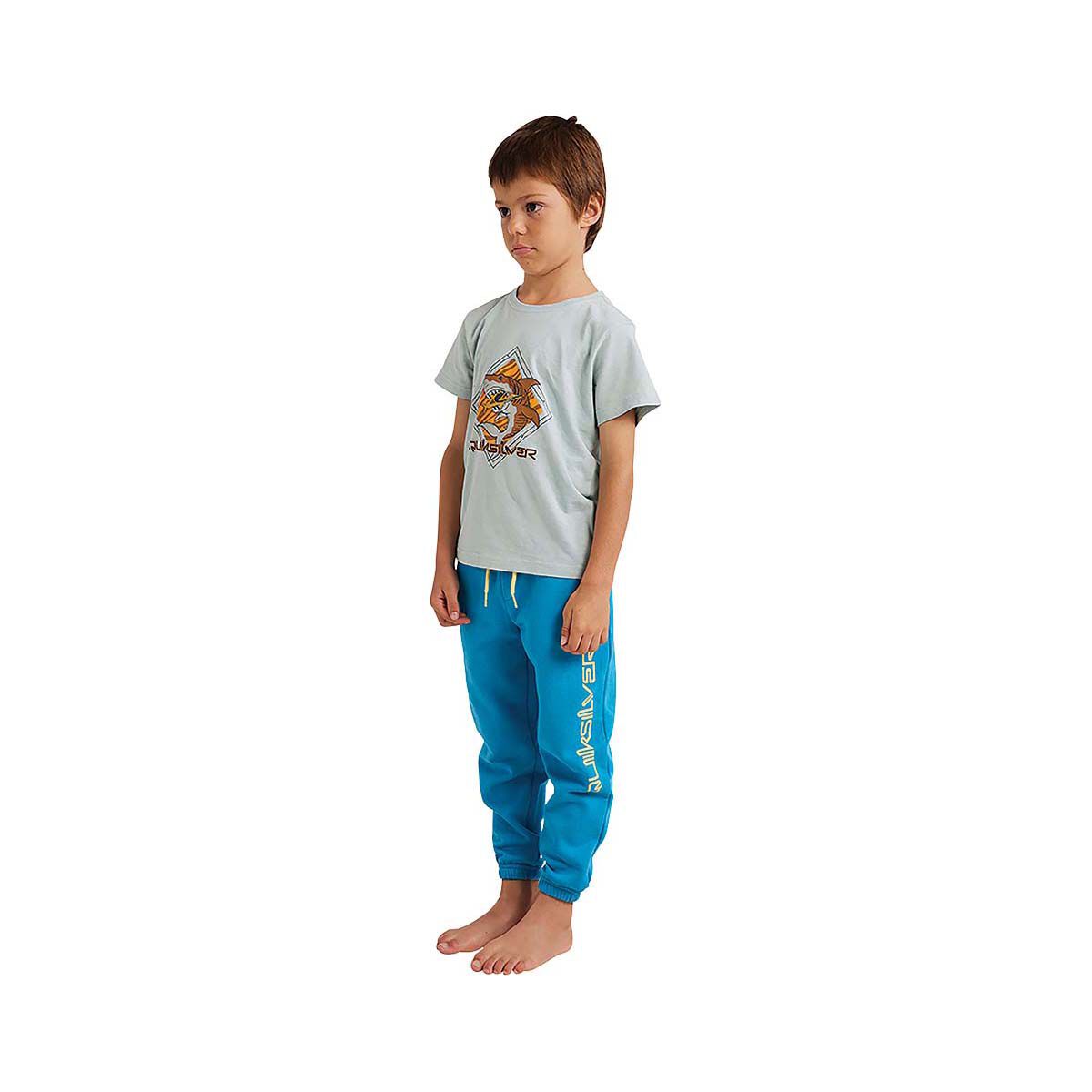 Quiksilver Kids' Screen Trackpants, , bcf_hi-res