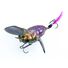 Chrissy Beetle