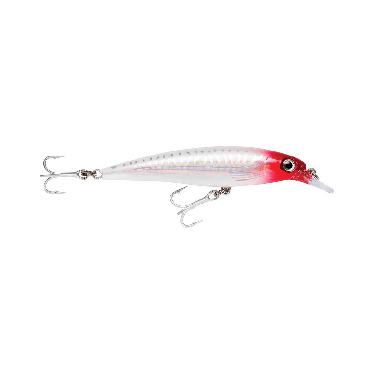 Rapala X-Rap Saltwater Hard Body Lure 10cm Anchovy, , bcf_hi-res
