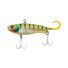 Orange Gill