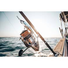 Shimano Anthem Spinning Rod, , bcf_hi-res