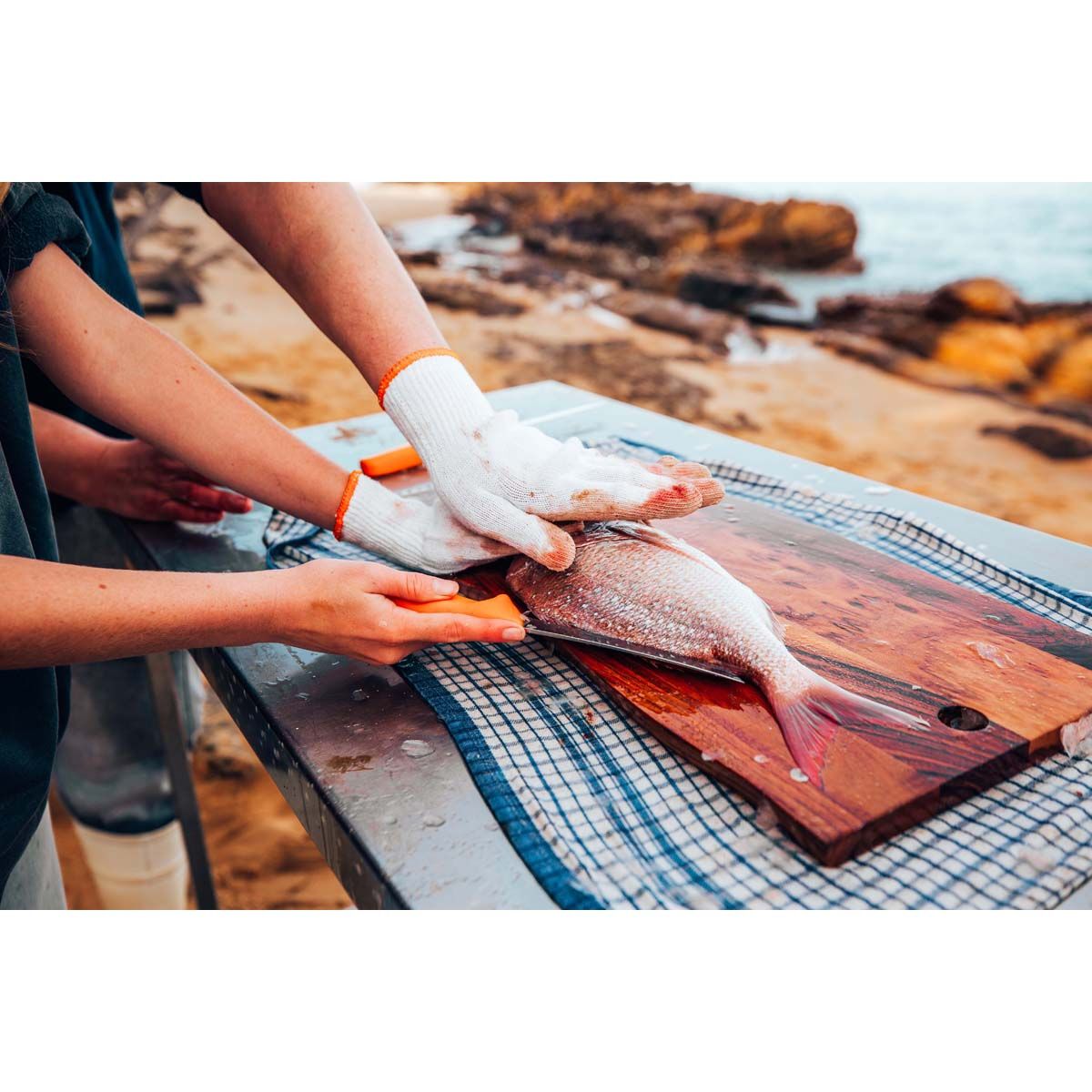 Victorinox Swibo Curved Flex 20cm Fillet Knife, , bcf_hi-res