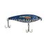 Spanish Mackerel