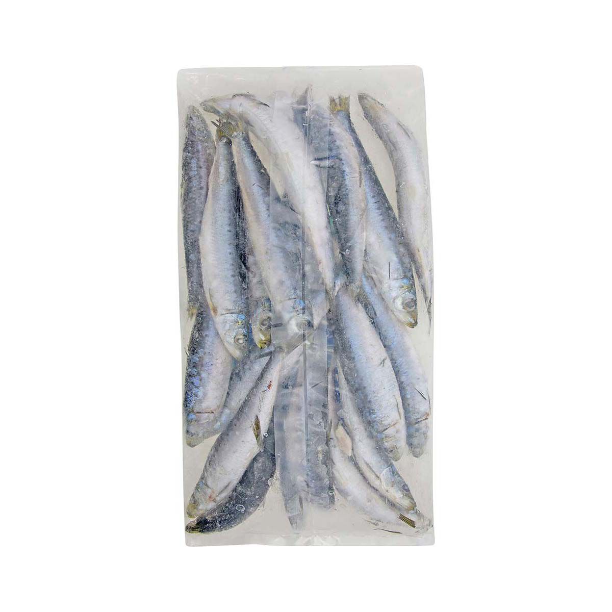 Tweed Bait IQF Pilchards Value, , bcf_hi-res