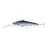 Pilchard
