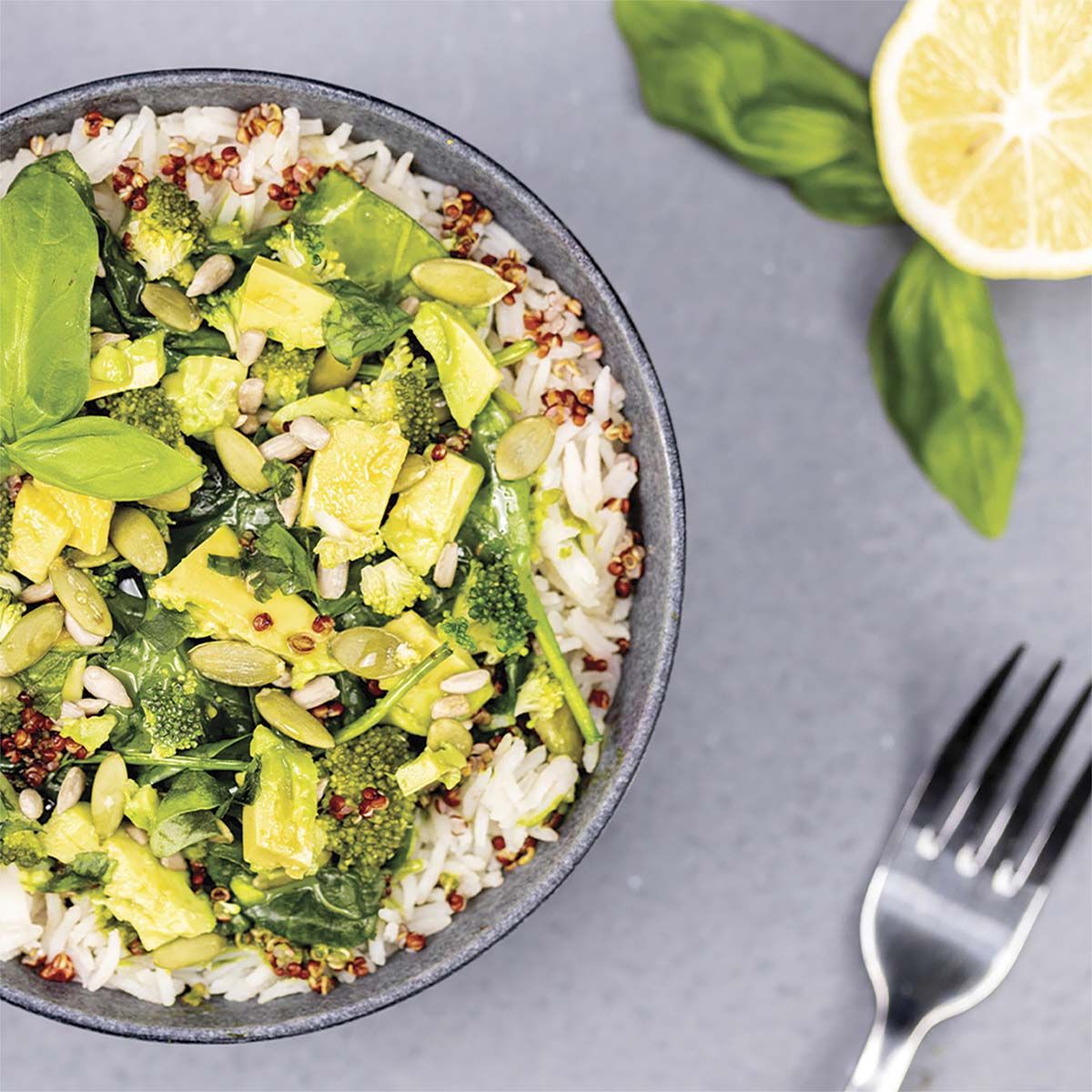 Radix Nutrition Freeze Dried Basil Pesto Original 600kcal, , bcf_hi-res