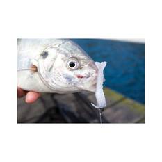 Berkley Gulp! Shrimp Soft Plastic Lure 2in Pink Belly Shrimp, Pink Belly Shrimp, bcf_hi-res