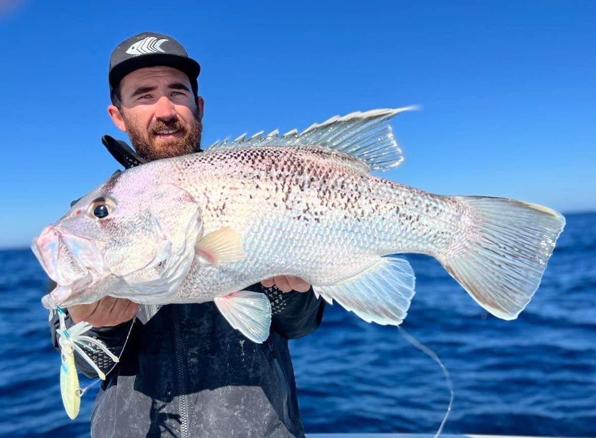 Nomad Squidtrex Jig Lure 110mm Holo Ghost Shad, Holo Ghost Shad, bcf_hi-res